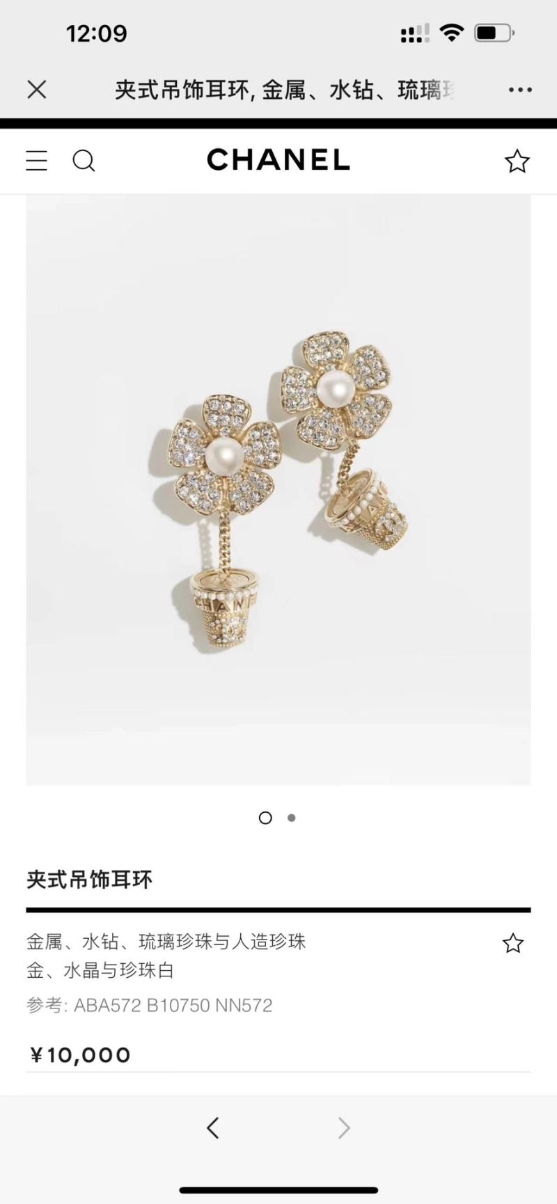 Chanel Earrings